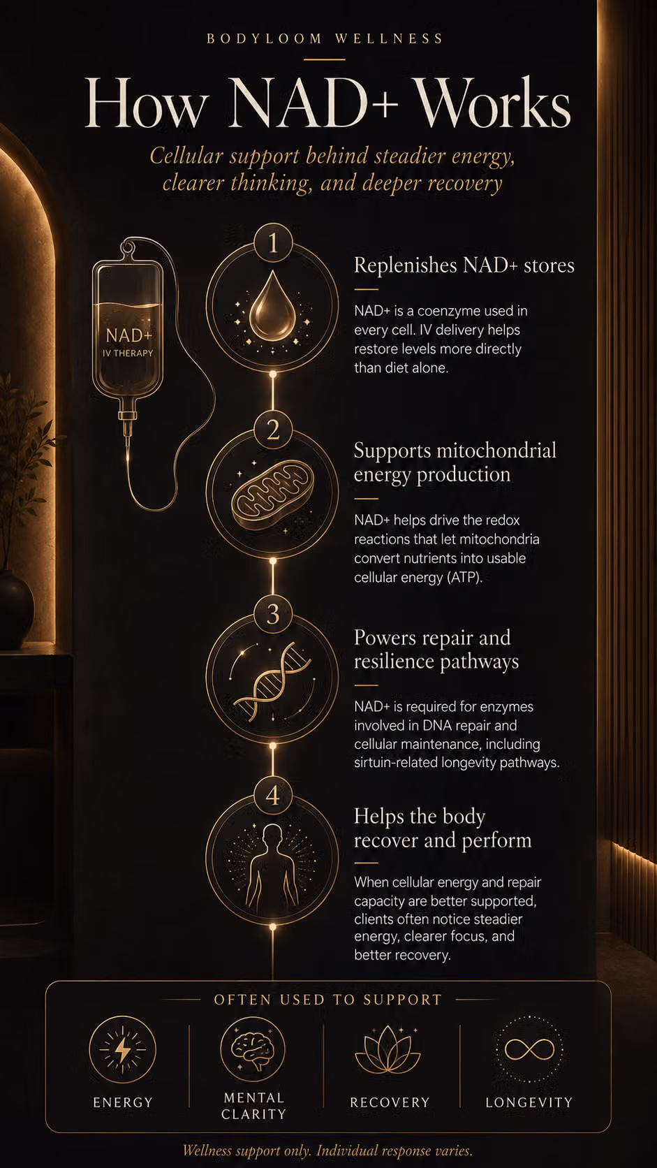 NAD+_IV_Therapy_How_NAD+IV_Therapy_Works_Section_Image_Bodyloom_Wellness_Frisco_TX