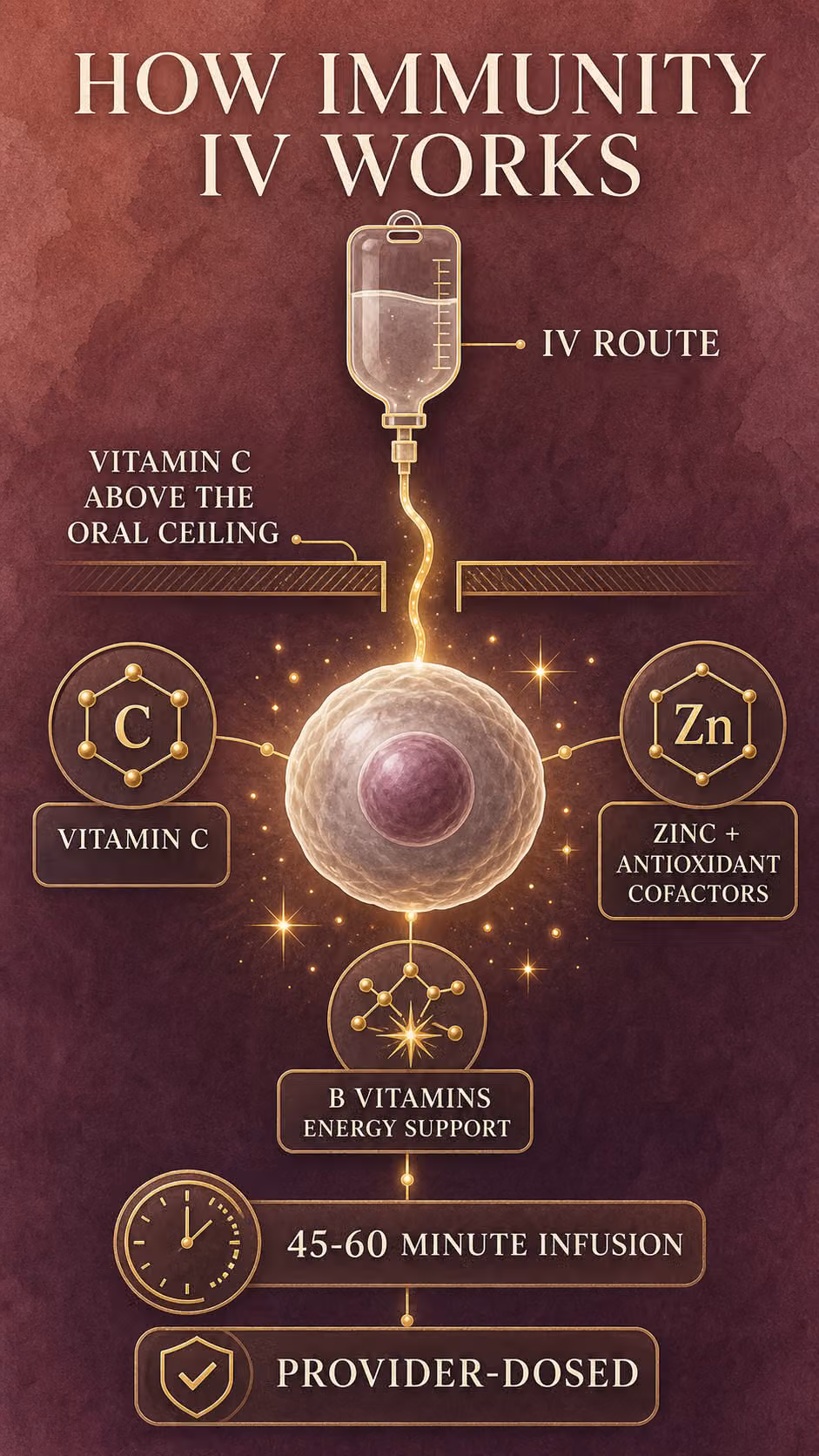 immune-iv-therapy-frisco-bodyloom-wellness-how-immune-iv-works-image