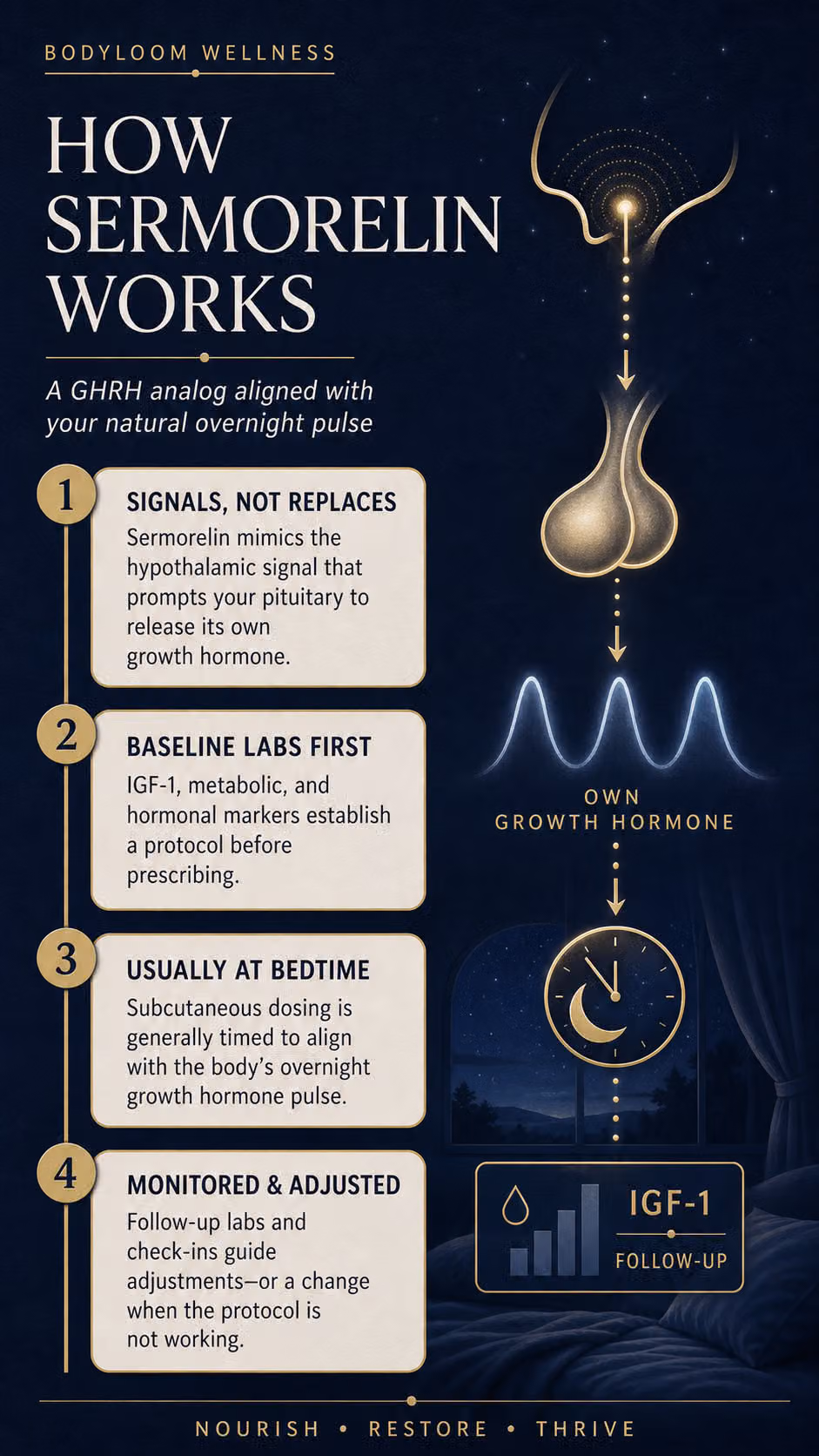 sermorelin-frisco-bodyloom-wellness-how-sermorelin-works-image